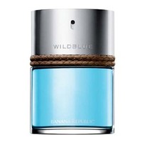 BANANA REPUBLIC WILDBLUE  TESTER EDT 100мл